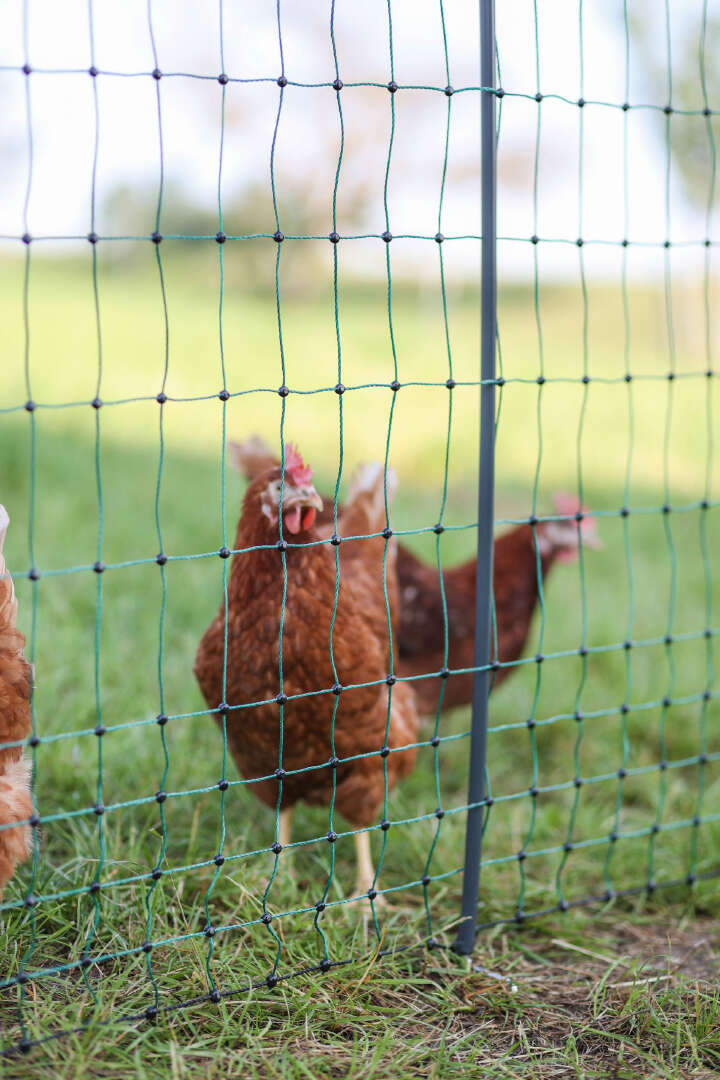 AKO Geflügelnetz PoultryNet Premium Doppelspitze